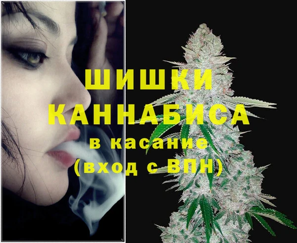 МДПВ Гусев