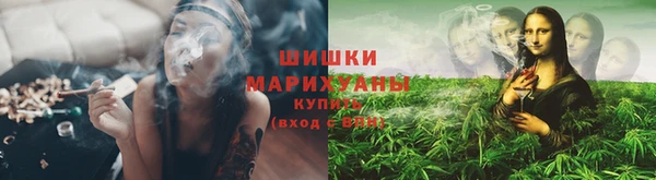 ПСИЛОЦИБИНОВЫЕ ГРИБЫ Гусиноозёрск