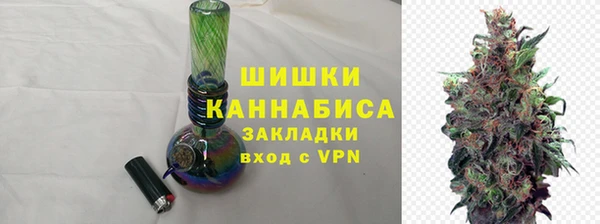 МДПВ Гусев