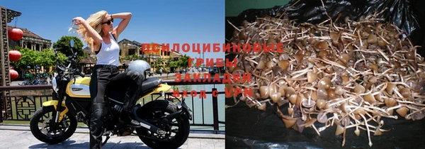 ПСИЛОЦИБИНОВЫЕ ГРИБЫ Гусиноозёрск
