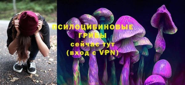 гидропоника Гусь-Хрустальный