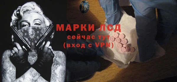 ПСИЛОЦИБИНОВЫЕ ГРИБЫ Гусиноозёрск