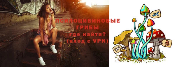 ПСИЛОЦИБИНОВЫЕ ГРИБЫ Гусиноозёрск