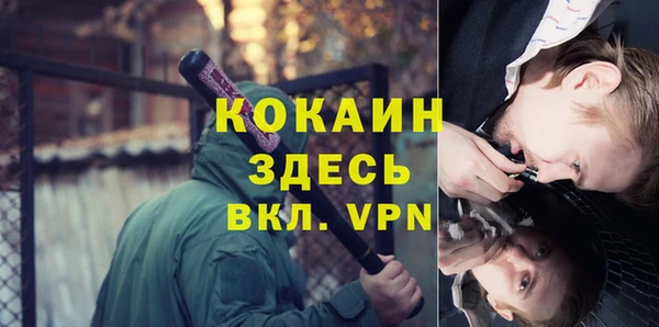 гидропоника Гусь-Хрустальный