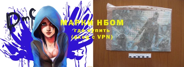 ПСИЛОЦИБИНОВЫЕ ГРИБЫ Гусиноозёрск